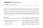 Dysregulated genes and miRNAs in the apoptosis pathway in … · 2018-03-16 · Dysregulated genes and miRNAs in the apoptosis pathway ... California, Oakland, CA, USA 3 Department