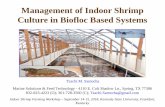 Management of Indoor Shrimp Culture in Biofloc …ksuaquaculture.org/These are Okay to Use 10-2-18/2018 KSU...Biofloc-dominated Systems Previous reports showed the feasibility of producing
