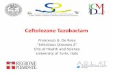 Francesco G. De Rosa “Infectious Diseases 2” City of ... · Poster P0266a. Baseline characteristics were similar between the 2 arms ... CXA-cUTI-10-04. 477 planned patients CXA-cUTI-10-05
