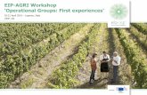 EIP-AGRI Workshop XX - European Commission · Project Work Packages 1. Survey / Questionnaire 2. SWOT Analysis 3. Pedigree analysis 4. Analysis of foreign blood percentage Angler