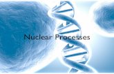 4. Nuclear Processes NOTES - Penguin Prof Pages · DNA, but differential expression makes the cells very different from one another. Control of Differential Gene Expression