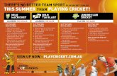 THERE’S NO BETTER TEAM SPORT PLAYCRICKET.COM.AU THIS ...nwmca.wa.cricket.com.au/files/86/files/Junior Cricket Pathway Document.pdf · THERE’S NO BETTER TEAM SPORT PLAYCRICKET.COM.AU