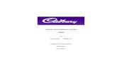 ANNUAL ENVIRONMENTAL REPORT · Cadbury Ireland Ltd Rathmore facility comprises of a main processing facility with associated buildings, storage structures and wastewater treatment