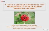 MICROPROPAGATION OF NORTH AMERICAN GINSENGuwo.ca/physpharm/ogirc/events/Journalclub/Zhou... · 2014-02-10 · A HIGHLY EFFICIENT PROTOCOL FOR MICROPROPAGATION OF NORTH AMERICAN GINSENG
