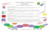 Caterpillar Cooking - Free Early Years & Primary Resources · Caterpillar Cooking Marshmallow Caterpillars You will need Red liquorice shoe laces; small/large marshmallows (Depending