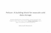 Pelican: A building block for exascale cold data storage · 2017-07-14 · Pelican: A building block for exascale cold data storage Shobana Balakrishnan, Richard Black, Austin Donnelly,