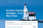 Business Development Strategies - From Sun Tzu to Blue Ocean...Helping people achieve a lifetime of financial security Business Development Strategies - From Sun Tzu to Blue Ocean