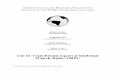 Unit XI: Trade-Related Aspects of Intellectual Property ... · The three main features of the Agreement are: ... These conventions are the Paris Convention, the Berne Convention,