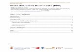 PESTE DES PETITS RUMINANTS - Peste des petits ruminants (PPR) is an acute or subacute, contagious viral