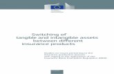 Switching of tangible and intangible assets between different insurance productsec.europa.eu/.../sectors/financial_services/KD0216917ENN.pdf · 2019-08-16 · Switching of tangible
