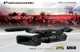 High-End 1.0-type Handheld Camcorder with 4K/HDR/10-bit ... · High-End 1.0-type Handheld Camcorder with 4K/HDR/10-bit Capabilities. Supports IP Control, NDI | HX and RTMP Streaming.