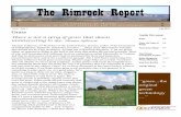 The Rimrock Report - The University of Arizona · 2015-02-13 · The Rimrock Report Grass...continued Page 2 Grass, the original green technology. Solar powered renewable resource.
