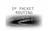 IP PACKET ROUTINGnetgroup.polito.it/courses/Didattica/CN/ICMP_E_A_3x.pdf · Outline ! Host routing decision ! Prefixes and physical networks ! Prefix matching ! Router operating principles
