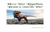 How Your Reptilian Brain Controls YouYour... · 2019-07-05 · How Your Reptilian Brain Controls You 5 As with most other brain structures, you actually have two amygdalae. Each amygdala