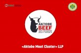  · 2018-12-24 · The meat processing complex Aktobe Meat Cluster I-LP (hereinafter AMC) in Alga, Aktobe Region is an enterprise for the production of environmentally friendly meat