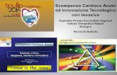 Scompenso Cardiaco Acuto ed Innovazione …tigulliocardio.com/2014/ppt/Di_Battista_3_4.pdfNEXFIN • Monitoraggio continuo di PA e GC, battito per battito • Particolarmente utile