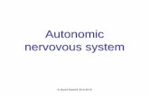 Autonomic nervovous system - Univerzita Karlovaanatomie.lf3.cuni.cz/centralni_prezentace/Autonomninervy_eng.pdf · AF-S: plexus aorticus abdominalis → plexus hypogastricus superior
