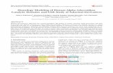 Homology Modeling of Human Alpha-Glucosidase Catalytic … · 2013-12-24 · Homology Modeling of Human Alpha-Glucosidase Catalytic Domains and SAR Study of Salacinol Derivatives