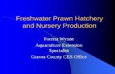 Freshwater Prawn Hatchery and Nursery Production...Hatchery, nursery and brood holding are generally conducted indoors. Pond growout is conducted in the summer growing season (100-