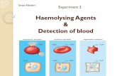 Haemolysing Agents& Detection of blood - KSU Facultyfac.ksu.edu.sa/sites/default/files/haemolysing_agentsdetection_of_blood.pdf · peroxide catalyze the oxidation of benzidine giving
