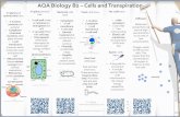 AQA Biology B2 Cells and Transpirationrevisionideas.weebly.com/uploads/3/7/0/2/37029245/b2_revision_cards_final.pdfAQA Biology B2 – Cells and Transpiration All plant and animal cells