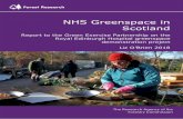 NHS Greenspace in Scotland Greenspace... · Nature engagement staff e.g. garden managers, heath and greenspace development 2 Total interviews 20 2. Research methods For this current