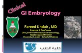 Fareed Khdair , MD · esophagus, stomach, Duodenum Liver , gall bladder and pancreas ... provide pathway for nerves , blood vessels , and lymphatics to pass to the organs ... Atresia