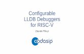Configurable LLDB Debuggers for RISC-V · Codasip Bk Codasip Bk = the Berkelium series, Codasip’sRISC-V processors Available immediately Pre-verified, tape-out quality IP Industry-standard