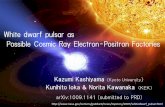 White dwarf pulsar as Possible Cosmic Ray Electron ......White dwarf pulsar as Possible Cosmic Ray Electron-Positron Factories Background：“Electron-Positron Excess” PAMELA （capable