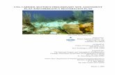 LNG CARRIER MATTHEW PRELIMINARY SITE ASSESSMENT · sp, Pterogorgia . sp, Plexaura . sp, Plexaurella . sp, Muricea . sp, Eunicia . sp). Biota cover in addition to hard and soft corals