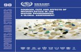 SOURCES, FATE AND EFFECTS OF MICROPLASTICS …...Science for Sustainable Oceans ISSN 1020–4873 90 REPORTS AND STUDIES SOURCES, FATE AND EFFECTS OF MICROPLASTICS IN THE MARINE ENVIRONMENT: