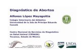 Atlantic Veterinary CollegeAtlantic Veterinary Collegepeople.upei.ca/lopez/castellano/tecamac/08-abortos.pdf · Abortos • 3-4% de vacas preñadas abortan • 4-6% de vacas producen