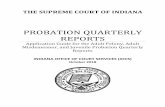 PROBATION QUARTERLY REPORTS · Comments Regarding Column and Line Entries In reporting supervisions in Parts I, II and III, the probation department is counting cases, not just persons.