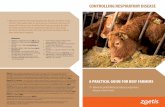 CONTROLLING RESPIRATORY DISEASE - Zoetis · CONTROLLING RESPIRATORY DISEASE References: 1. BARRETT D.C. (2000) Veterinary Record 146, 545-550 ... 6. EBLEX BRP - marketing Prime Beef