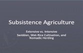 Subsistence Agriculture - Mr. Tredinnick · Subsistence versus Commercial Subsistence •Family or social group works together •People live on food they grow •Small surplus traded