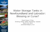 Water Storage Tanks: Blessing or Curse · Water Resources Management Division Department of Environment & Conservation Design of Tanks Design of storage tanks changed over years •