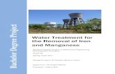 Water Treatment for the Removal of Iron and …460329/FULLTEXT01.pdfWater Treatment for the Removal of Iron and Manganese Bachelor Degree Project in Mechanical Engineering – Development