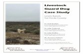 Livestock Guard Dog Case Studysanangelo.tamu.edu/files/2017/05/Lewis-Ranch-Final.pdfLivestock Guard Dog Case Study Lewis Ranch, Val Verde County Scenario _____ A ranch near Del Rio,
