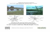 Wetlands Workshop Report Joint IGBP GAIM-DIS-BAHC-IGAC ...gaim.unh.edu/Products/Reports/Report_2/report2.pdf · 4 I. INTRODUCTION IGBP/GAIM, in conjunction with BAHC, IGBP-DIS, LUCC