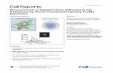 Measurement of Rapid Protein Diffusion in the Cytoplasm by ...wolfson.huji.ac.il/purification/PDF/Publications/Sadovsky2017.pdf · Cell Reports Resource Measurement of Rapid Protein