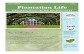 OAK ALLEY FOUNDATION GRADES 6-9 Plantation Life...Oak Alley Plantation was a sugar plantation. Slaves weeded rows of sugarcane in the summer and harvested them in the early winter,