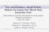 Job Satisfaction: What Really Makes Us Enjoy Our Work May …career.fsu.edu/sites/g/files/imported/storage/original/... · 2015-06-27 · Job Satisfaction: What Really Makes Us Enjoy