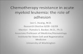 Chemotherapy resistance in acute myeloid …...Chemotherapy resistance in acute myeloid leukemia: the role of adhesion Joe C. Huang, M.D. Research Elective 8/09 - 10/09 Mentor: Pamela