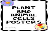 Plant and Animal Cells Posters - Loudoun County Public ......Plant and Animal Cells Posters Jennifer Findley. Plant Cell . Animal Cell . Vacuole . Chloroplast . Mitochondria . Ribosomes