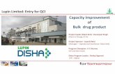 Capacity Improvement Bulk drug product Limited.pdf1st Na2CO3 Wash 1st Na2CO3 Wash Water wash HCL Wash RXN Mass transferring R-19-807 40 25 60 400 30 800 30 10 30 15 720 Unloading Methanol