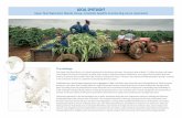 LOCAL SPOTLIGHT Upper Tana Watershed, Nairobi, … · Action and opportunity In response to these challenges, the Upper Tana-Nairobi Water Fund was launched to implement a holistic