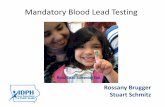 Mandatory Blood Lead Testing - Iowa · 4. Chapter 67, Iowa Code 641: “Blood Lead Testing” 5. Types of blood lead tests and some statistics 6. Procedures for schools to file data