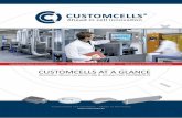 CUSTOMCELLS AT A GLANCE · electrode technologies industrialized 1 CUSTOMCELLS acts customized to your needs. We have the right experts to help you in all aspects of technical consulting