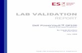 ESG Lab Validation Report Dell DP100 Jul 08 - InfoStor · the changes from the protected computer to the Data Protection Manager server, in this case the Dell DP100. The protection
