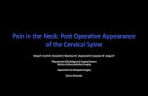 Pain in the Neck: Post Operative Appearance of the Cervical Spine · Pain in the Neck: Post Operative Appearance of the Cervical Spine Wong P 1, Uriell M , Presciutti S2, Robertson